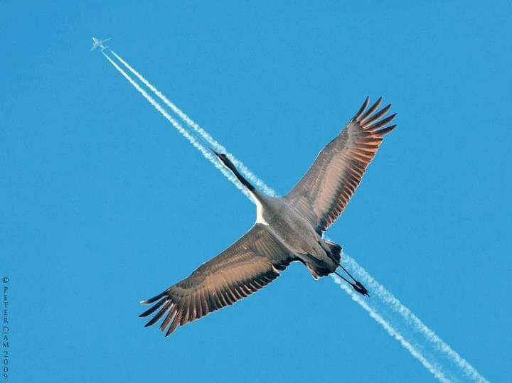 Timing couldn't be more perfect – and no Photoshop involved!