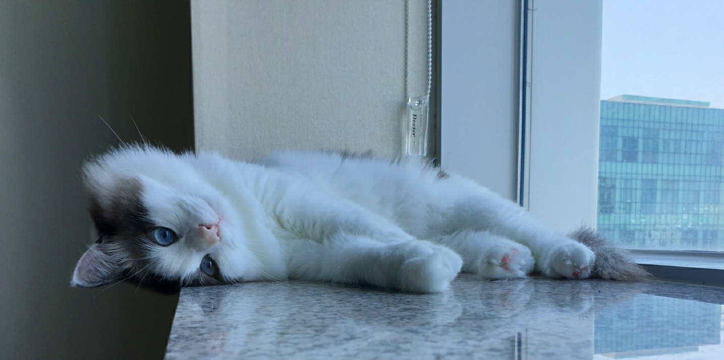 Catty's feeling a bit down today