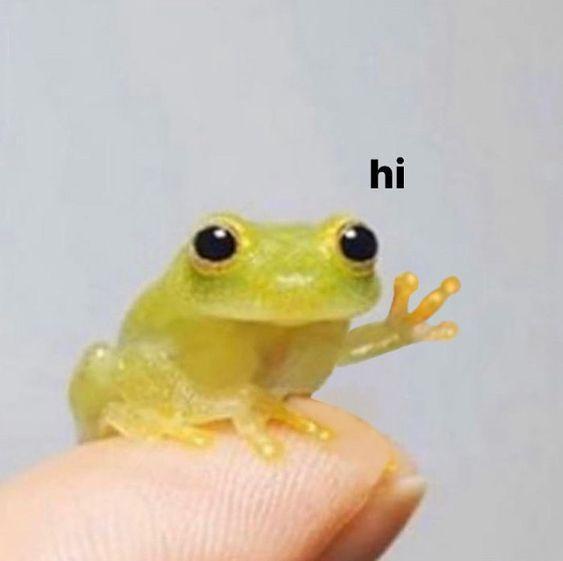 Happy Wednesday, My Friends!