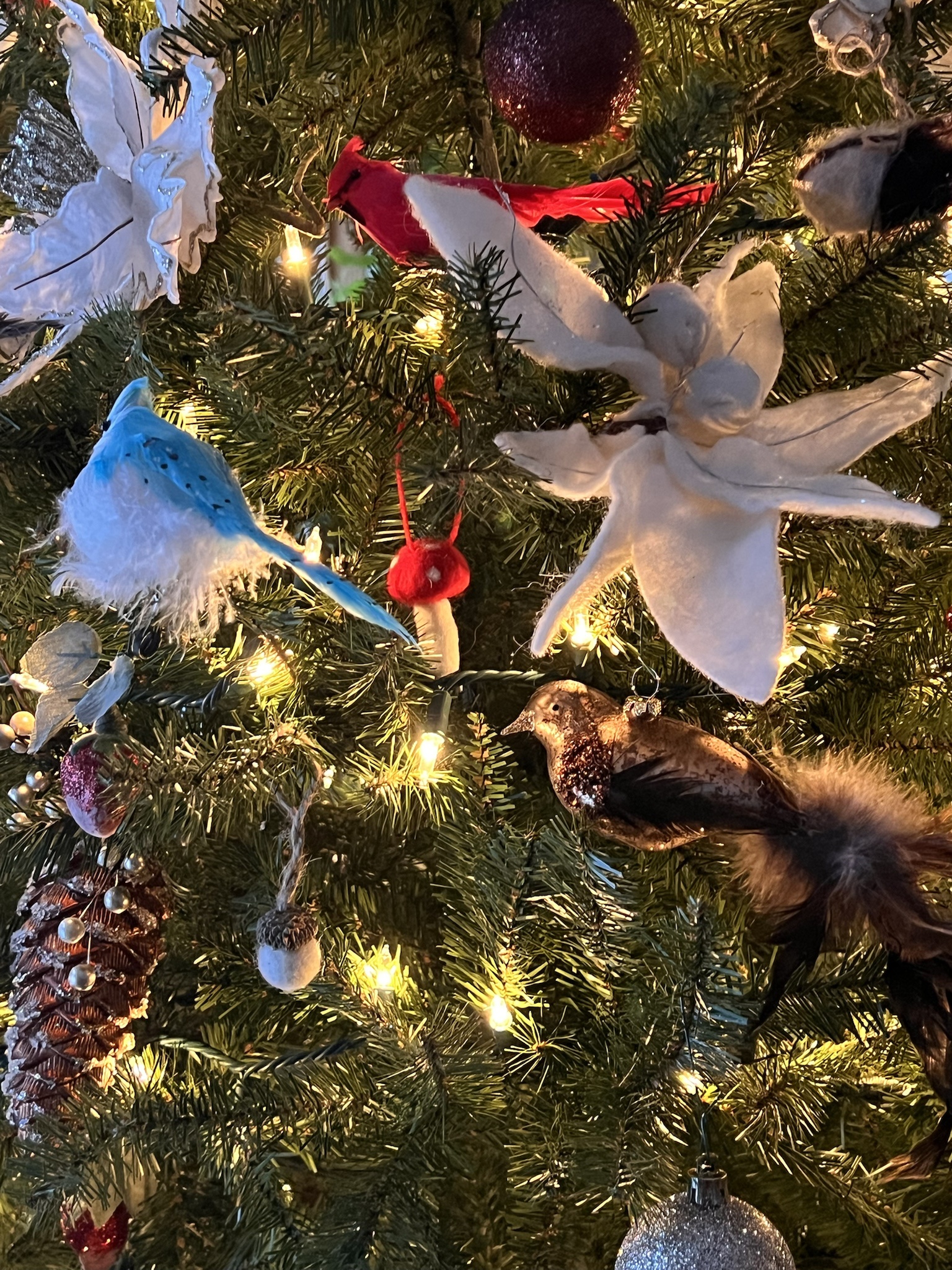 She just spotted the mushroom ornament that the cat mischievously stole from the Christmas tree and left behind.