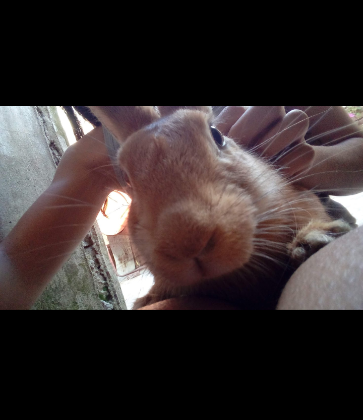 How Do I Even Begin to Tell You How Much I Miss You? Forever in My Heart, My Little Karol B <3