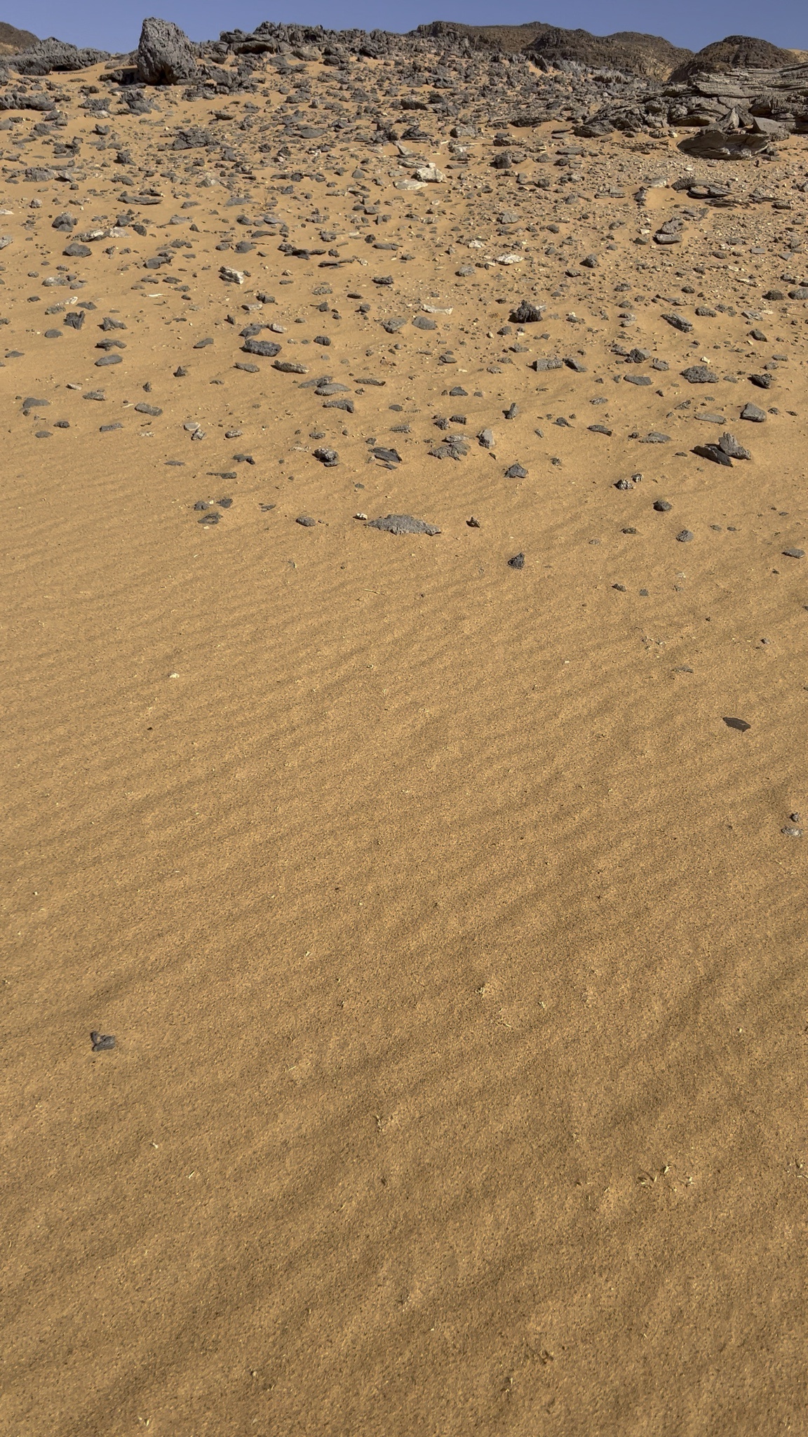Is It Mars or Just a Dream?