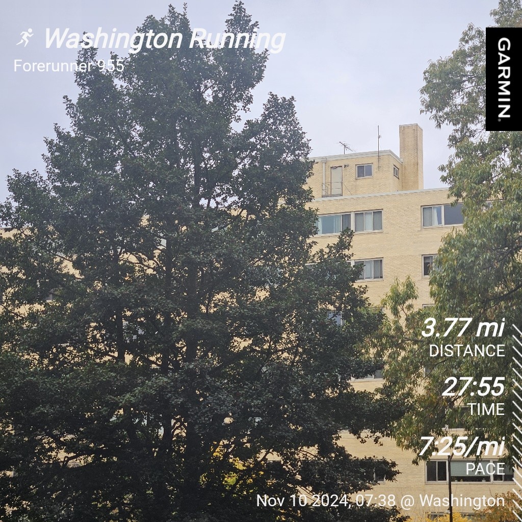 The Daily Grind: Embracing the Morning Run