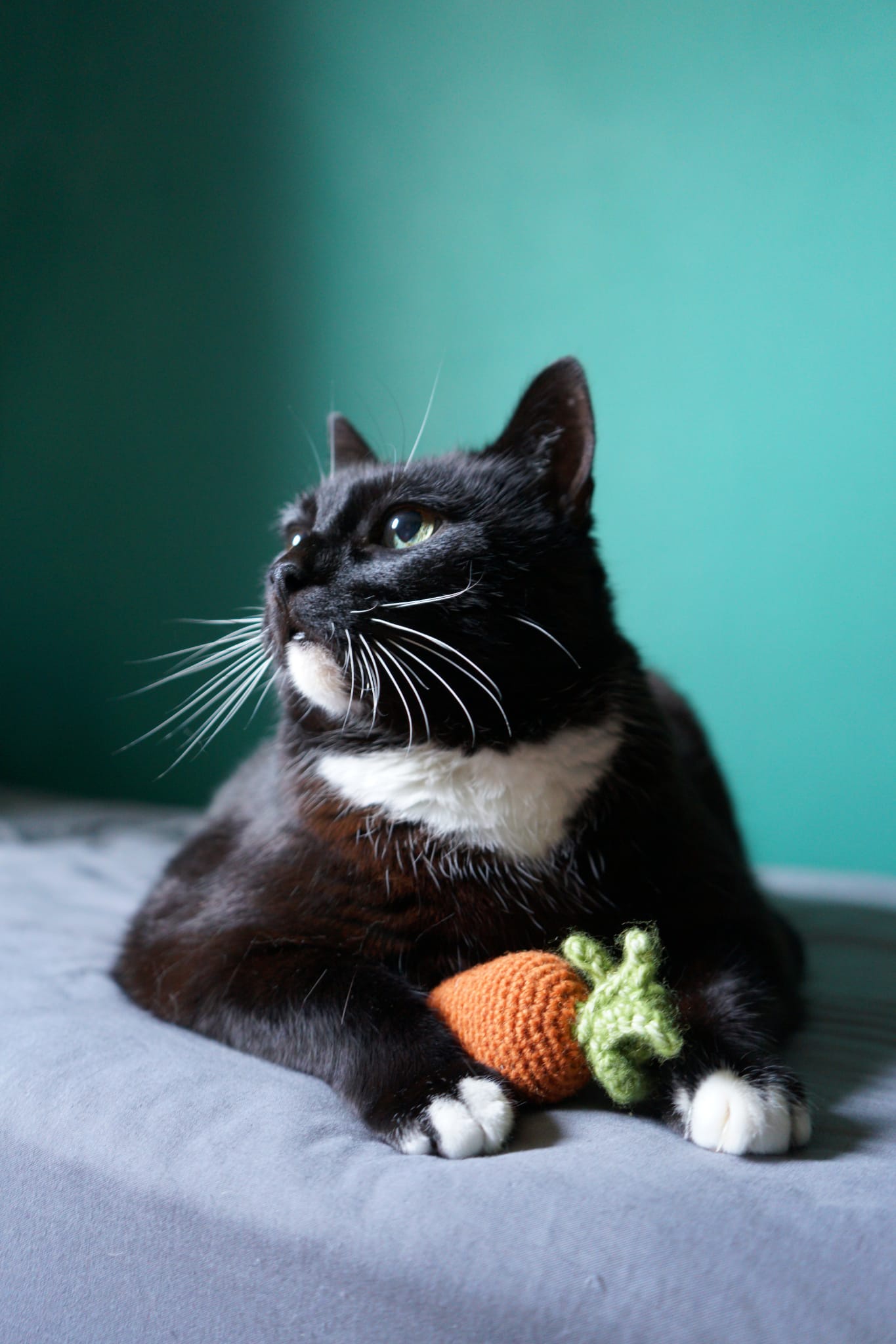 Cherished Memories: Photos for Someone Special Who Loves Max