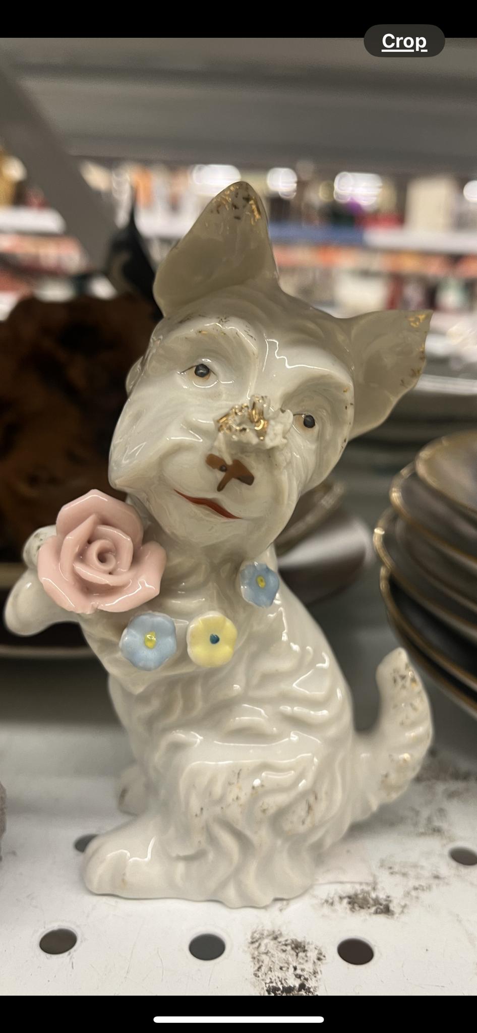 Spotted: a creepy human-dog hybrid at Savers!