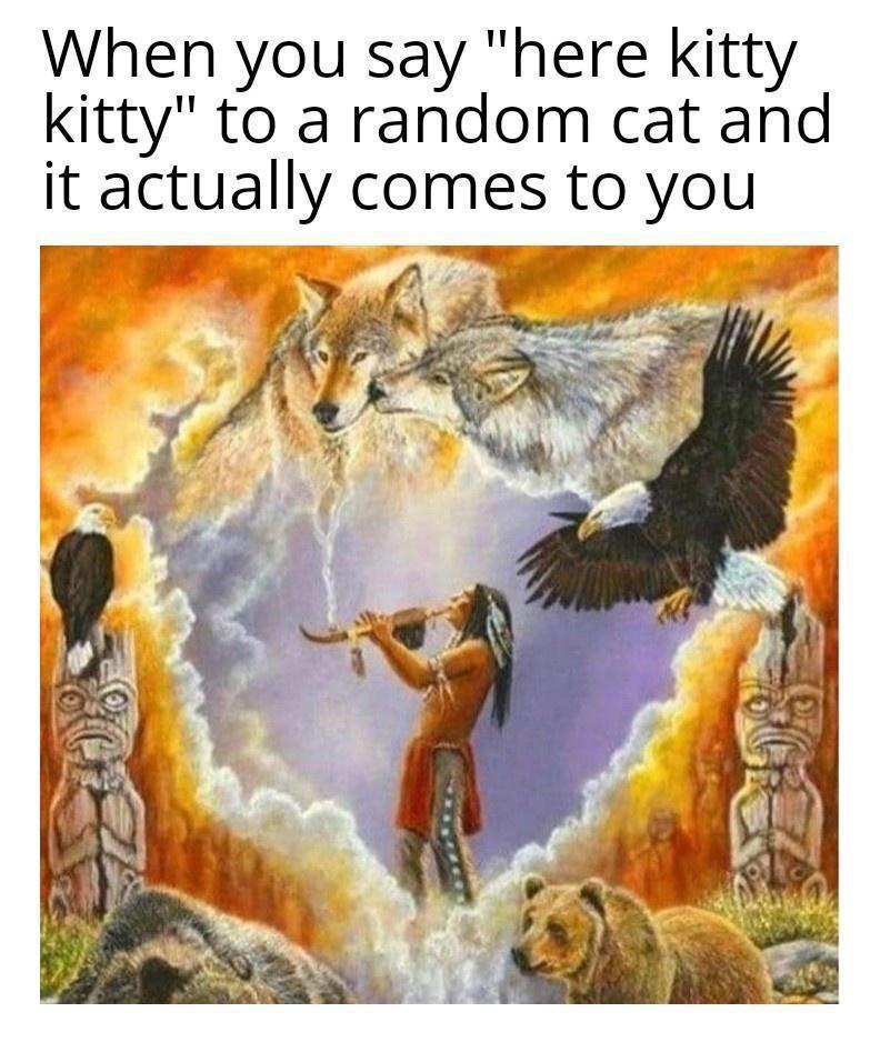The Call of the Cat: Pspspspspspspsp