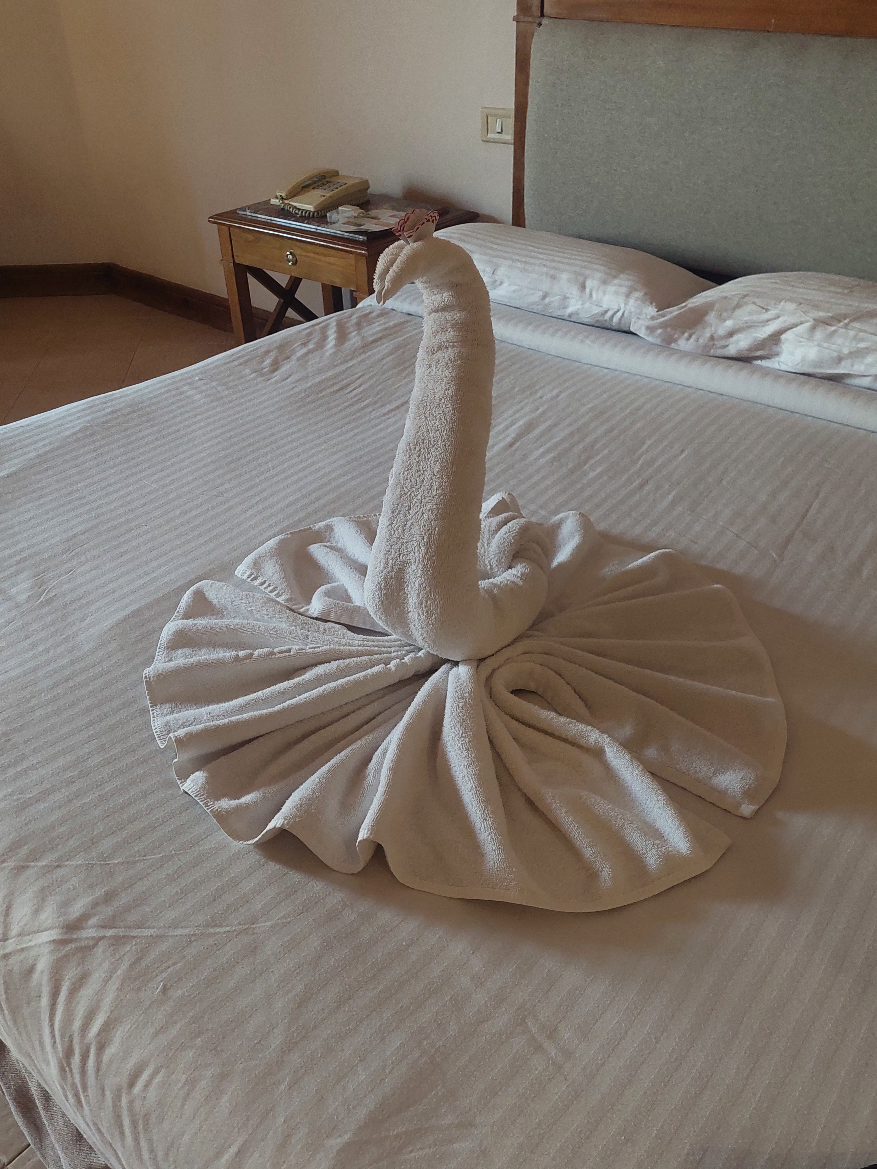 Epic Towel Art Showdown: Our Creations vs. the Room Cleaner