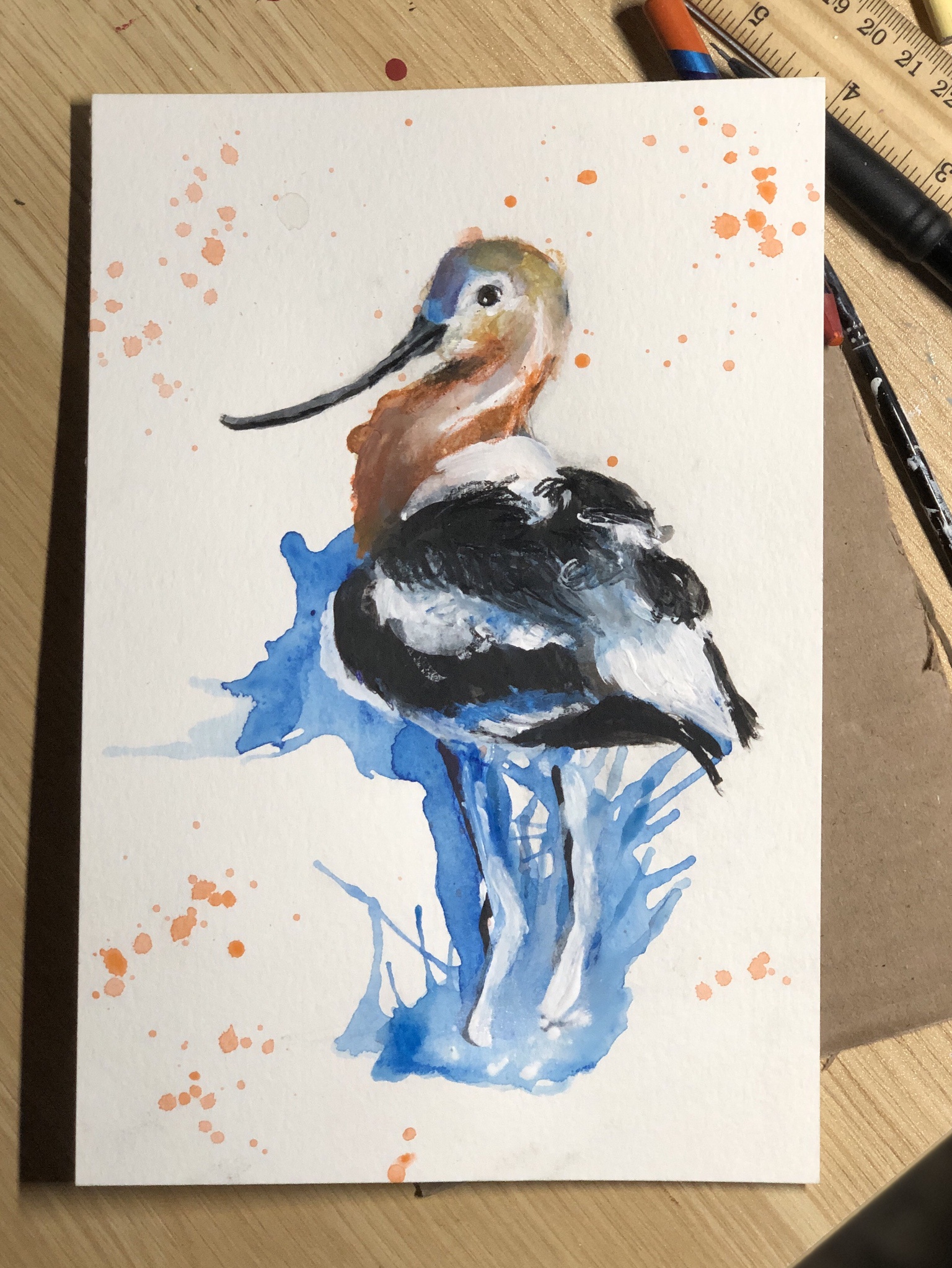 Check out my drawing of an American Avocet!