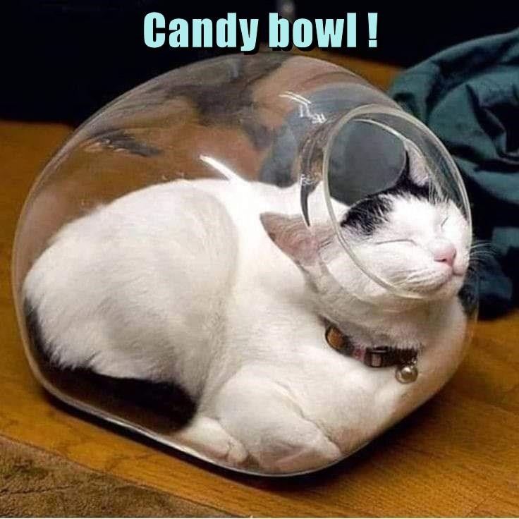 The Ultimate Candy Experience: The Best Treat Ever!