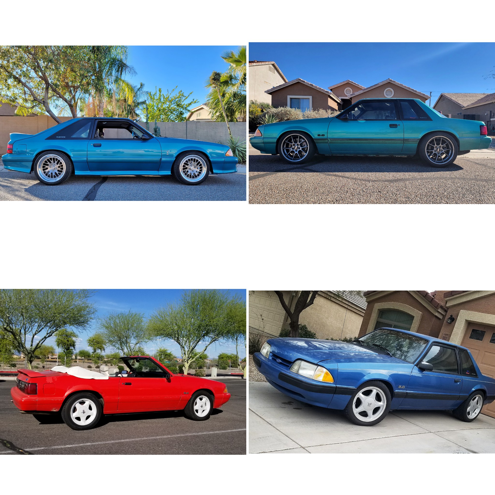 Check out my impressive foxbody collection!