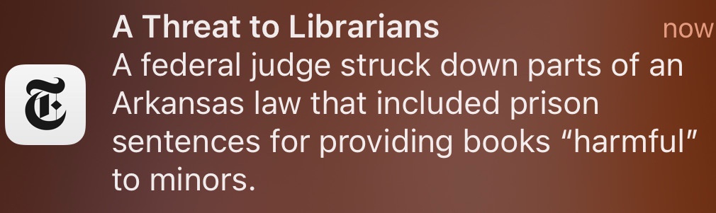 Book Bans Are Truly Harmful to Minors, Wake Up MAGA Supporters!