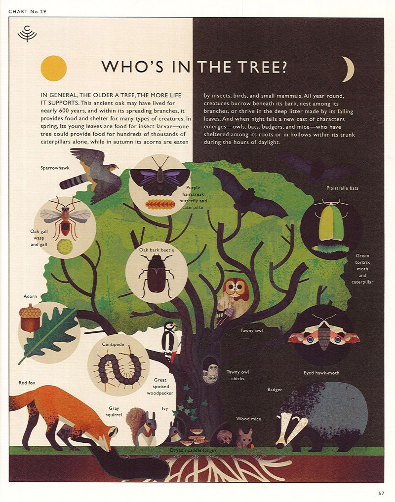 Embracing the Tree Life: Nature's Serenity