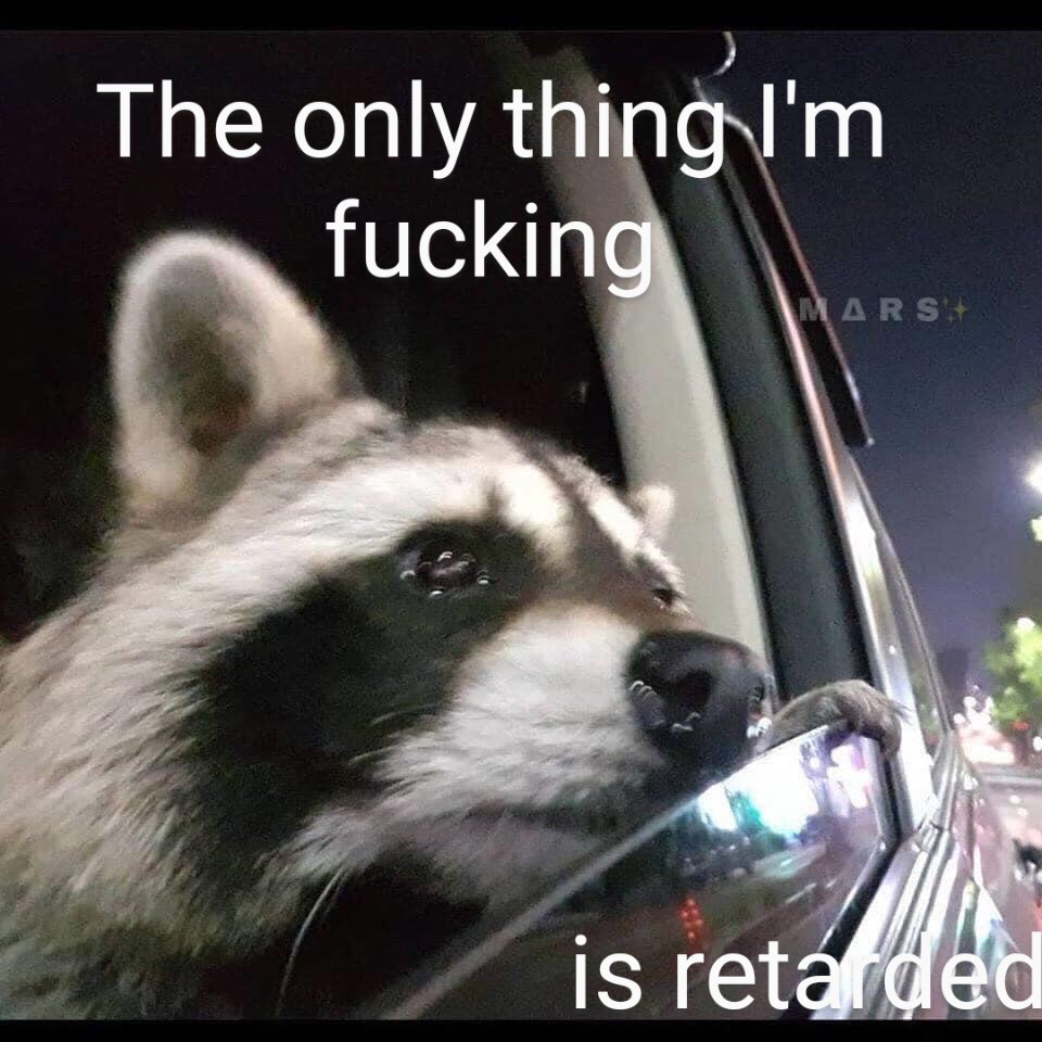 More Amazing Raccoon Facts You Didn't Know