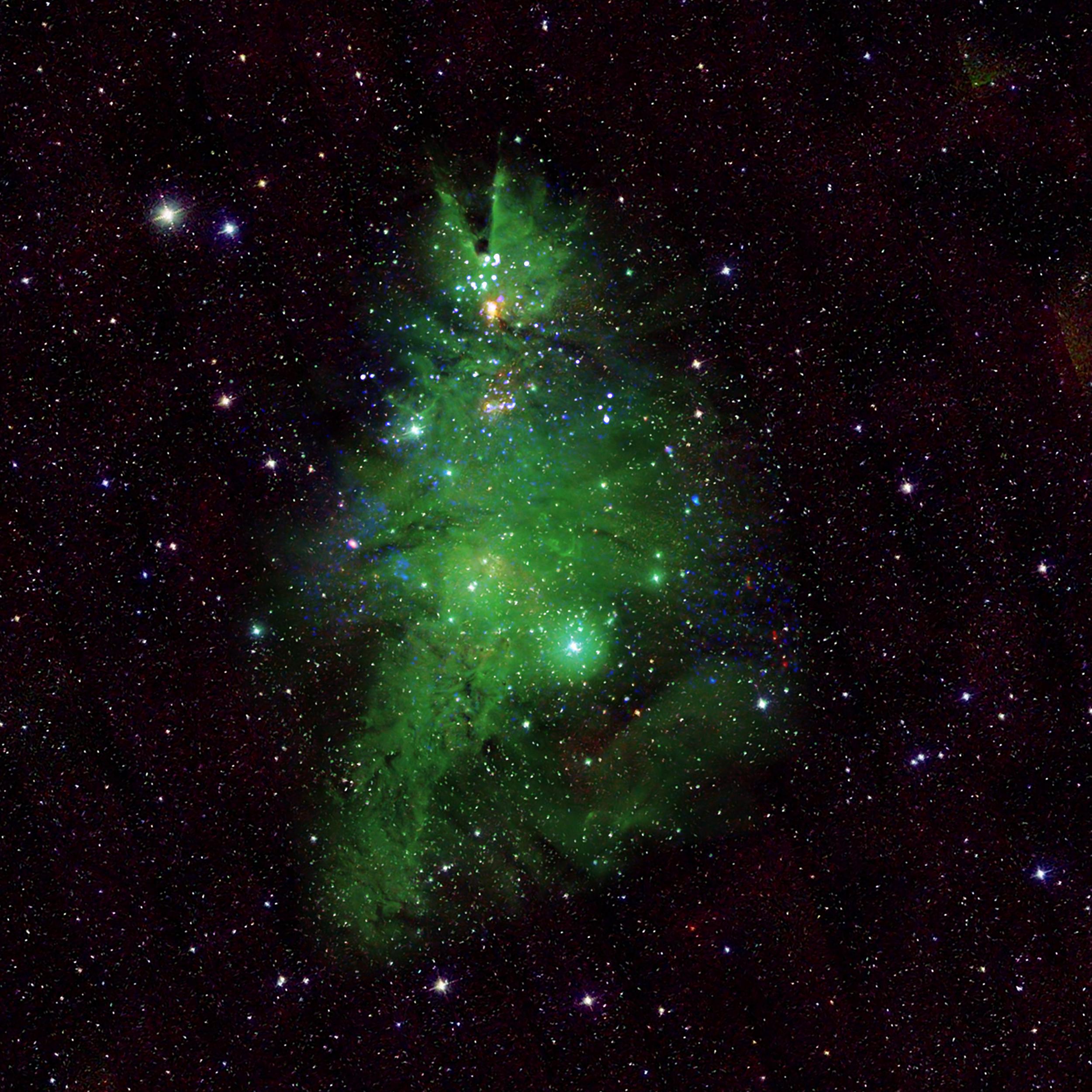 Discover the Christmas Tree Star Cluster: NGC-2264