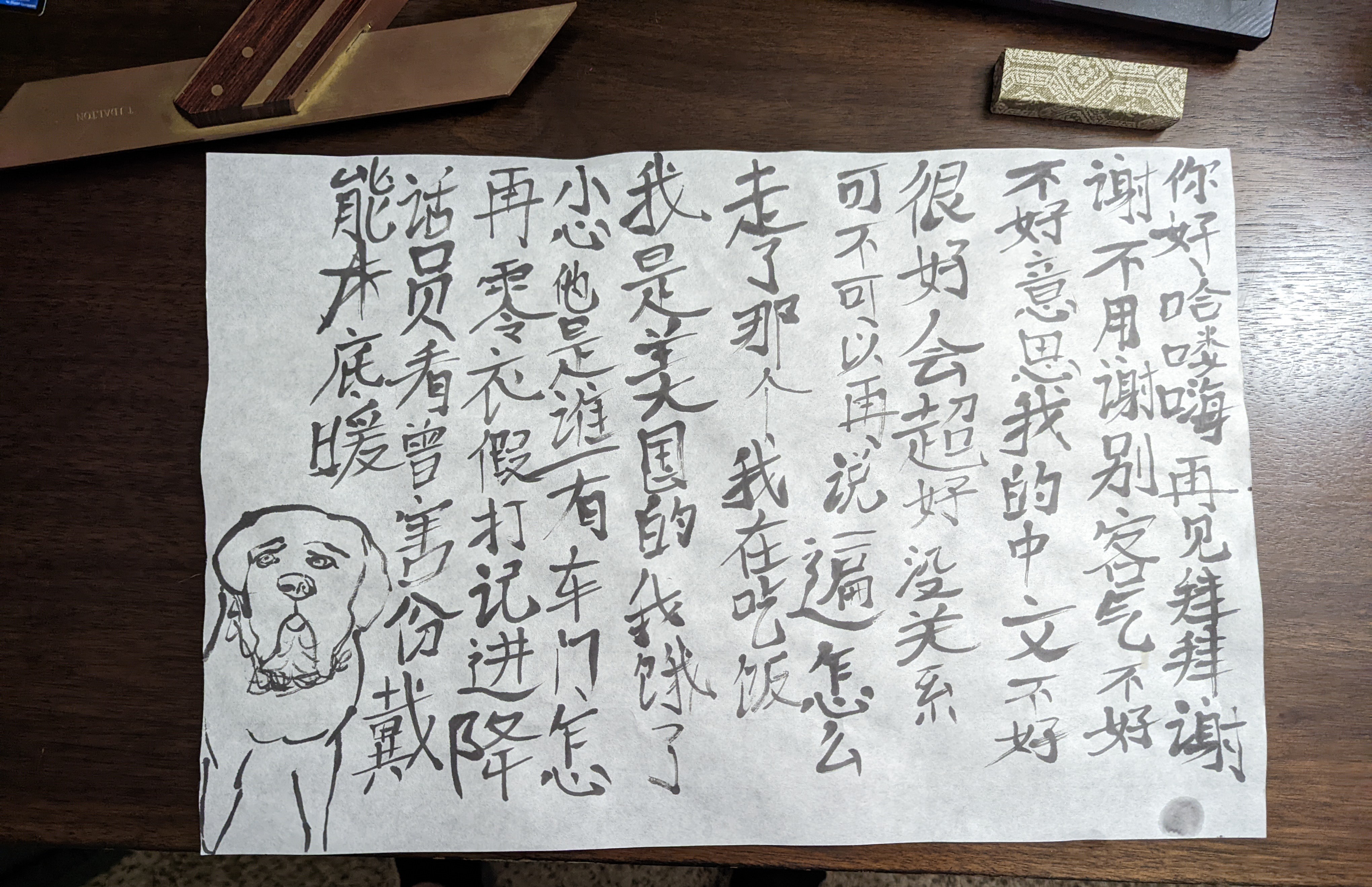 Practicing the Art of Mandarin Calligraphy!