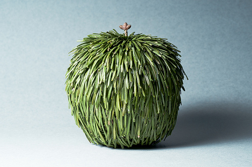 Team Pinecone Brings a Pineapple for Tough Times
