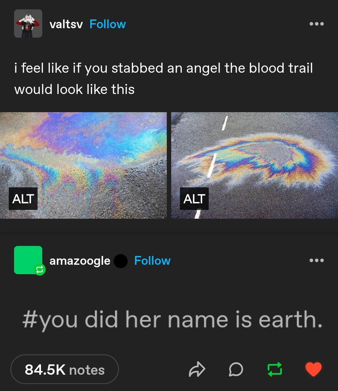 The Day I Accidentally Stabbed an Angel