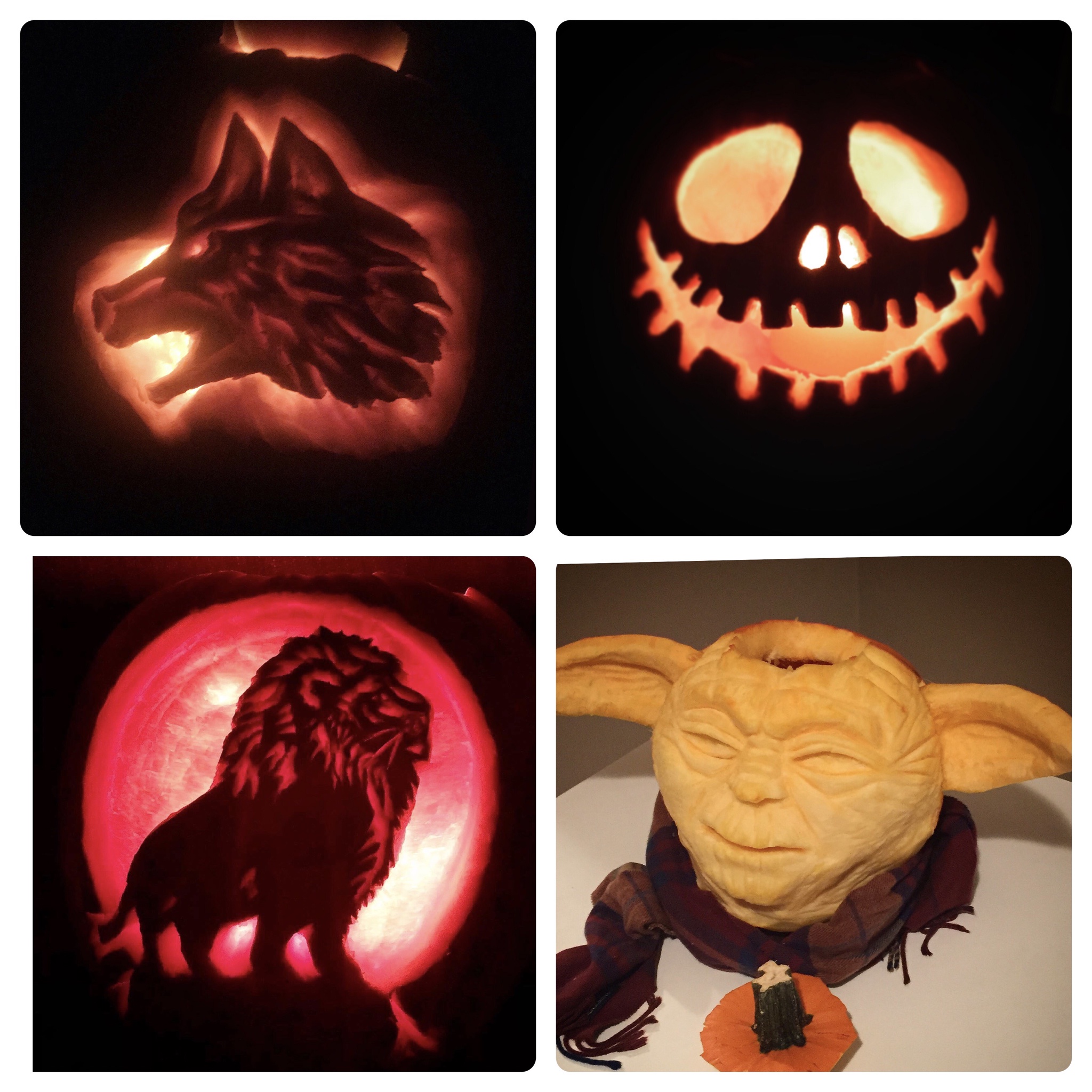The Great Pumpkin Collection