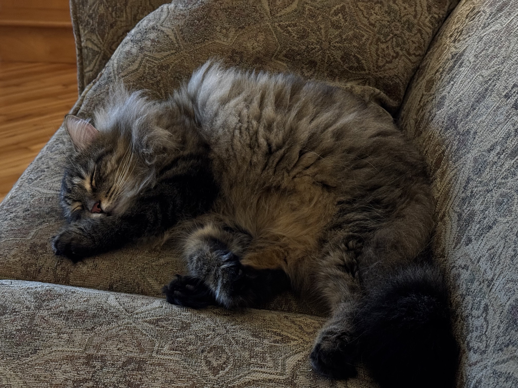 Sleepy boy gives the cutest mlem