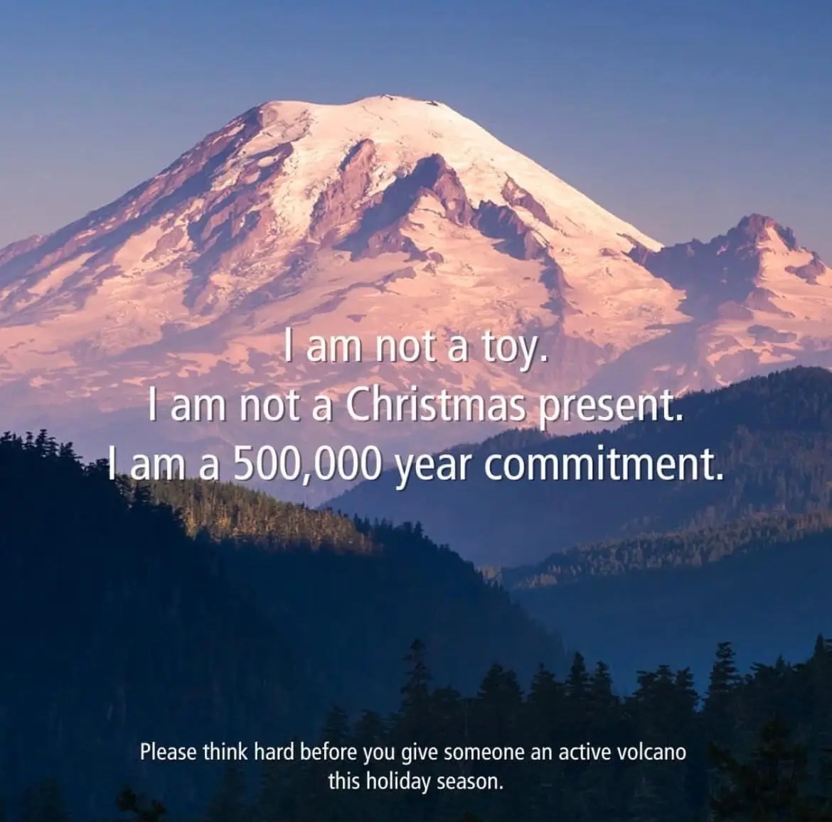 This Christmas, take a moment to think twice before you act