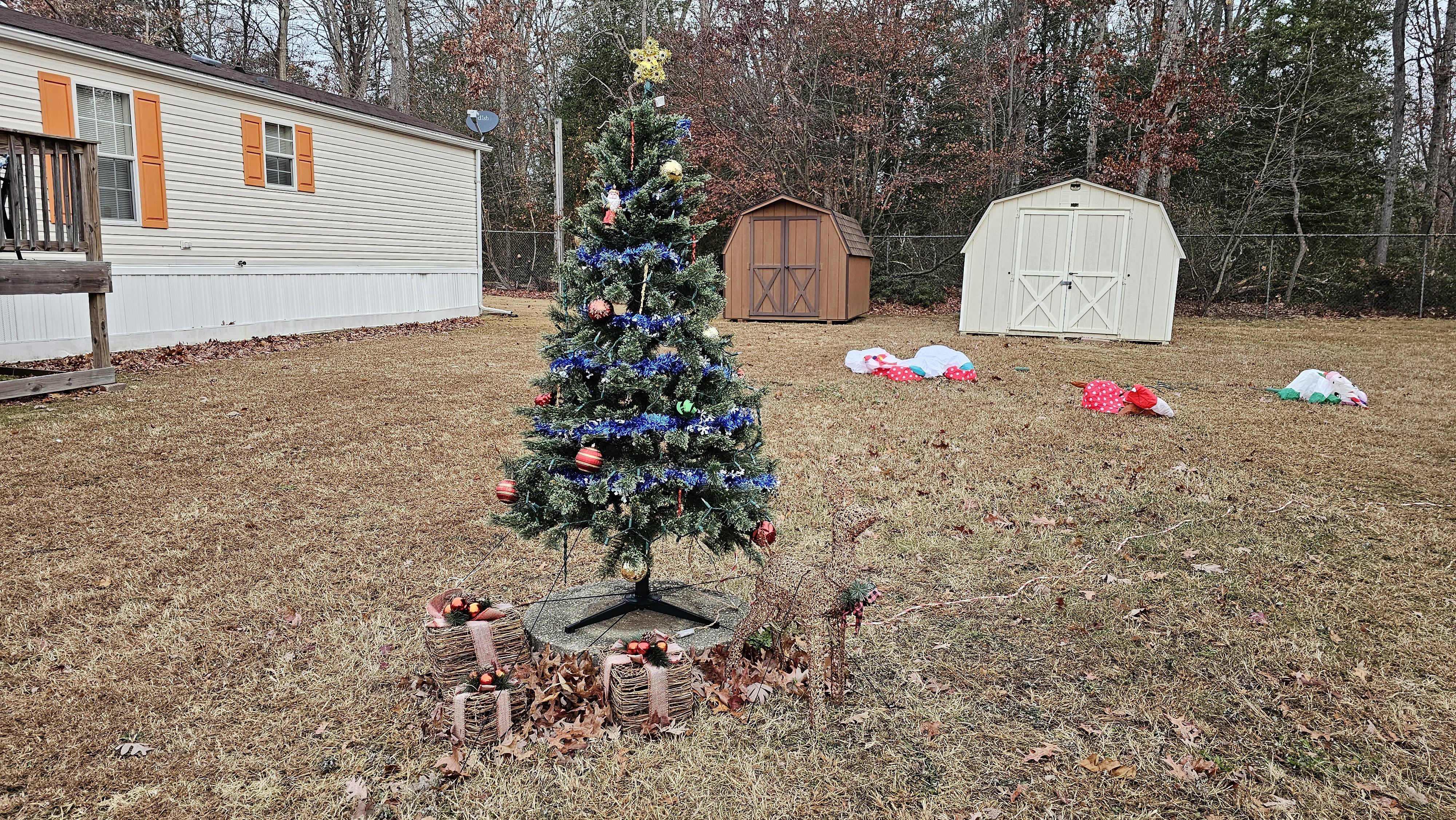 This year, it's all about my trees—no selfies for me!