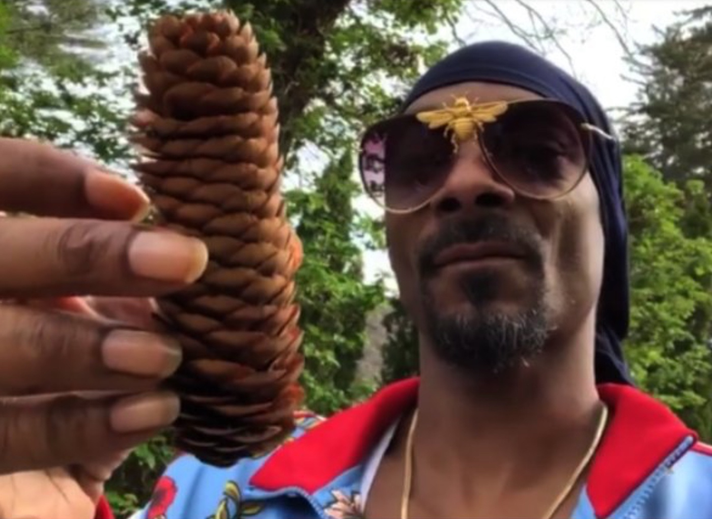 Snoop may back Team Pinecone, but my heart belongs to Acorn