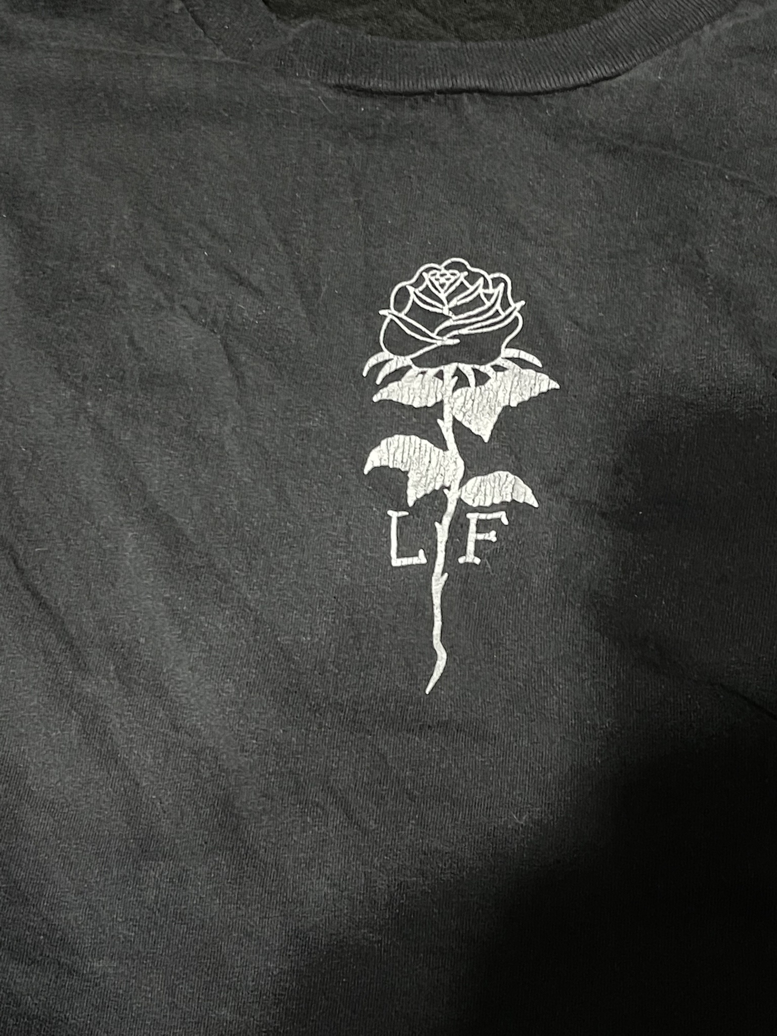 Help me find the artist! I bought this shirt to support a singer but forgot her name