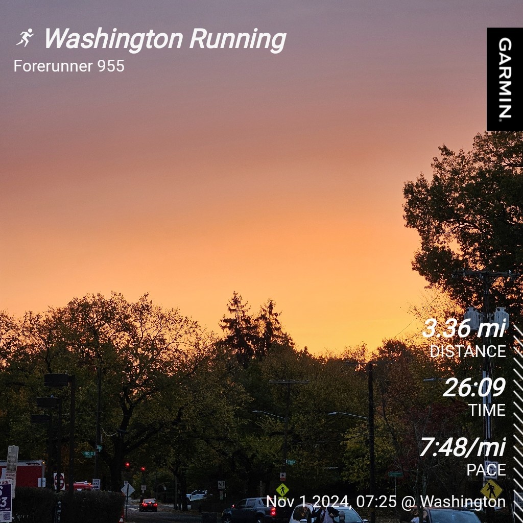 Embracing the Grind: My Daily Running Ritual