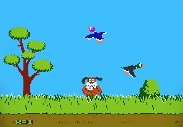 Duck Hunt: Aim true and don't miss your shot!