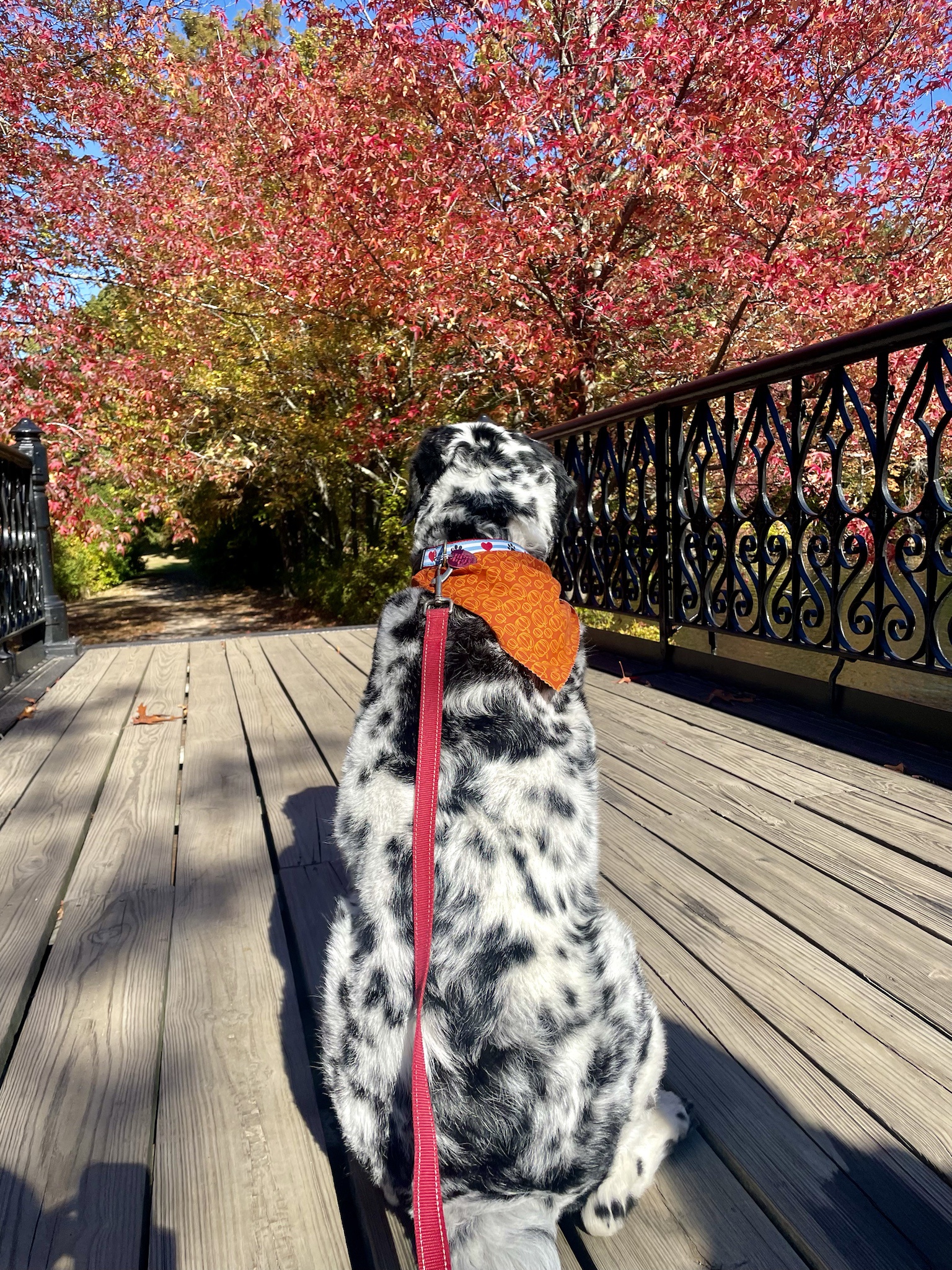 Capturing the Beauty of a Perfect New England Fall Day