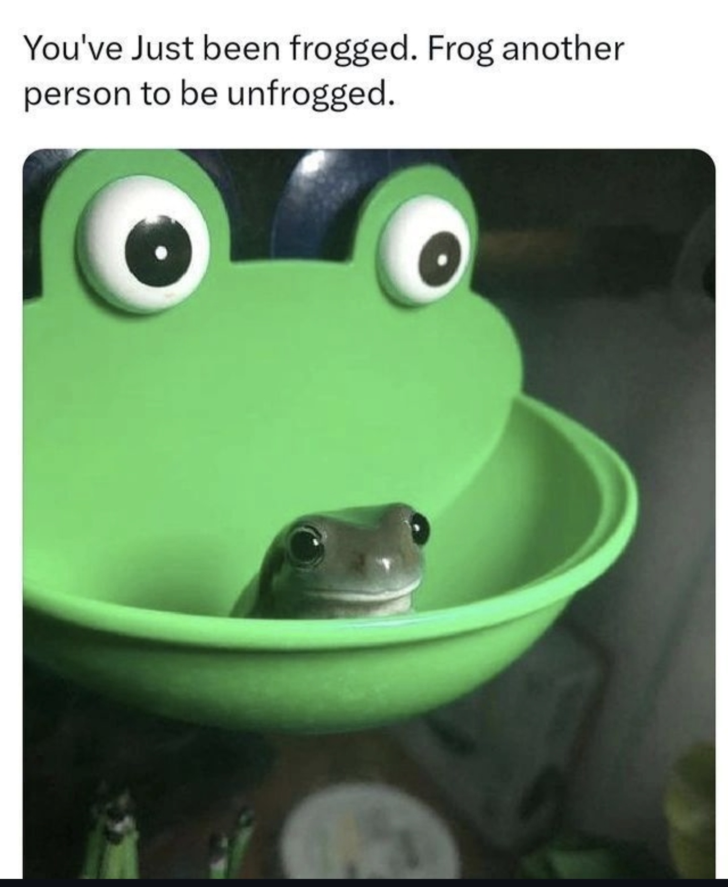 You're tagged! Now what?