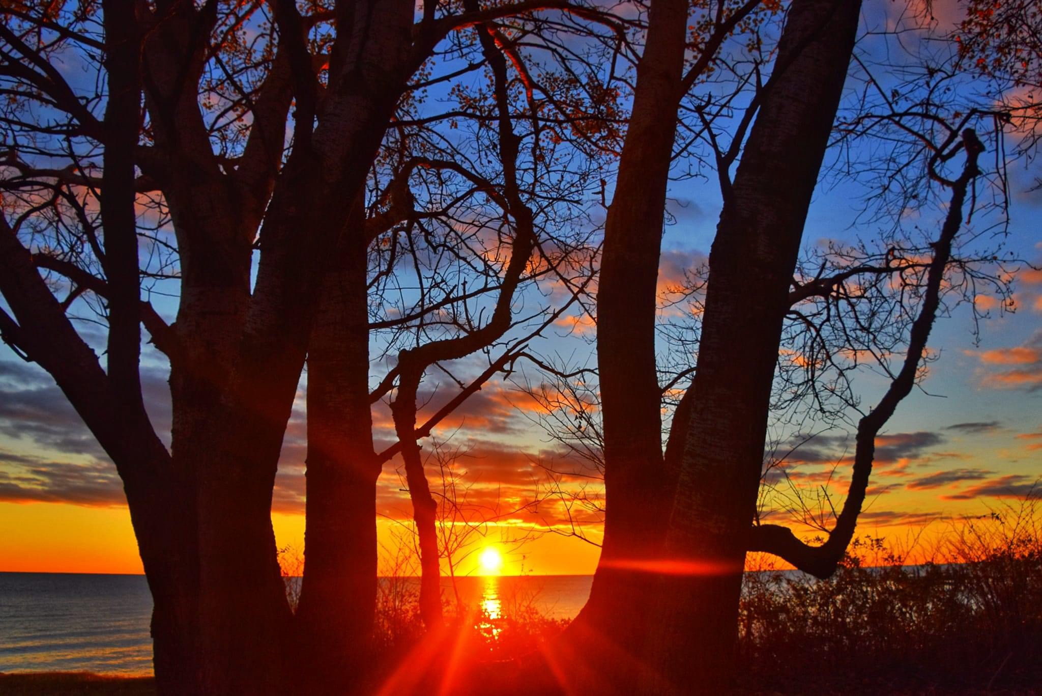 Golden Sunbeams of Joy