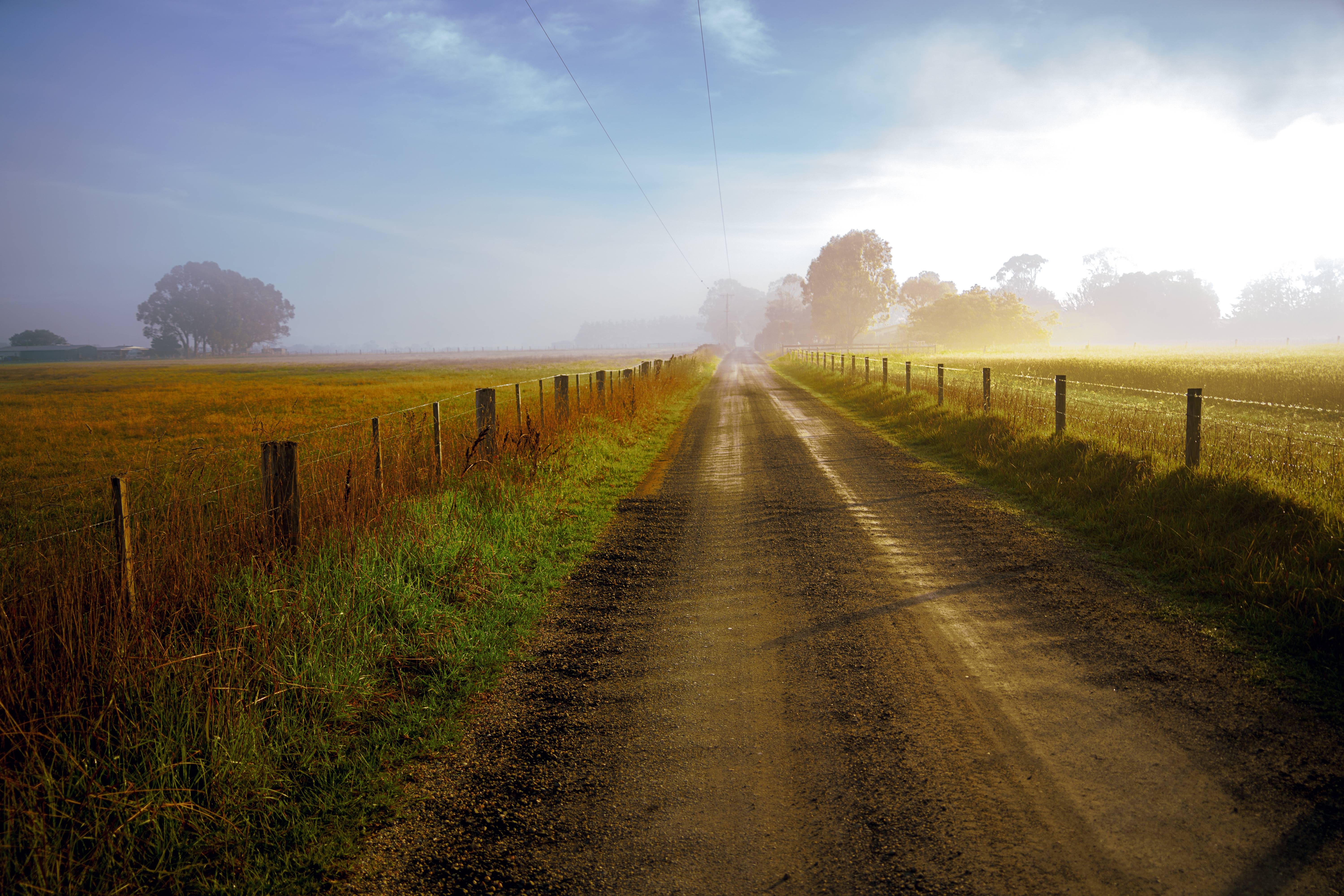 The Serene Beauty of Early Morning in Rural Australia