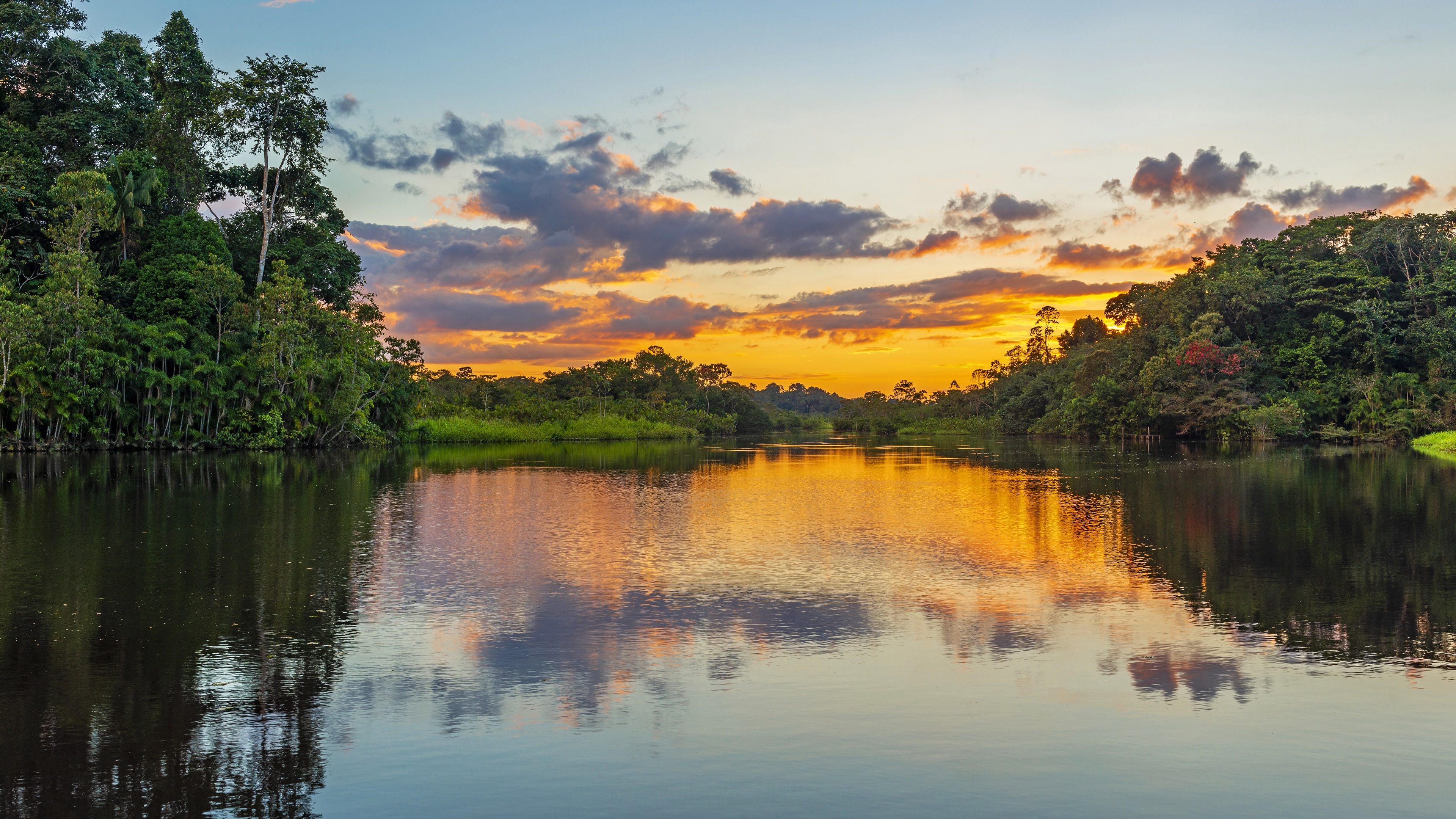 Breathtaking sunset over the rainforest