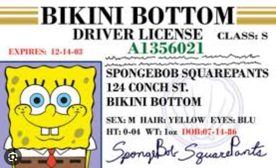 Navigating the Journey to Get Your License