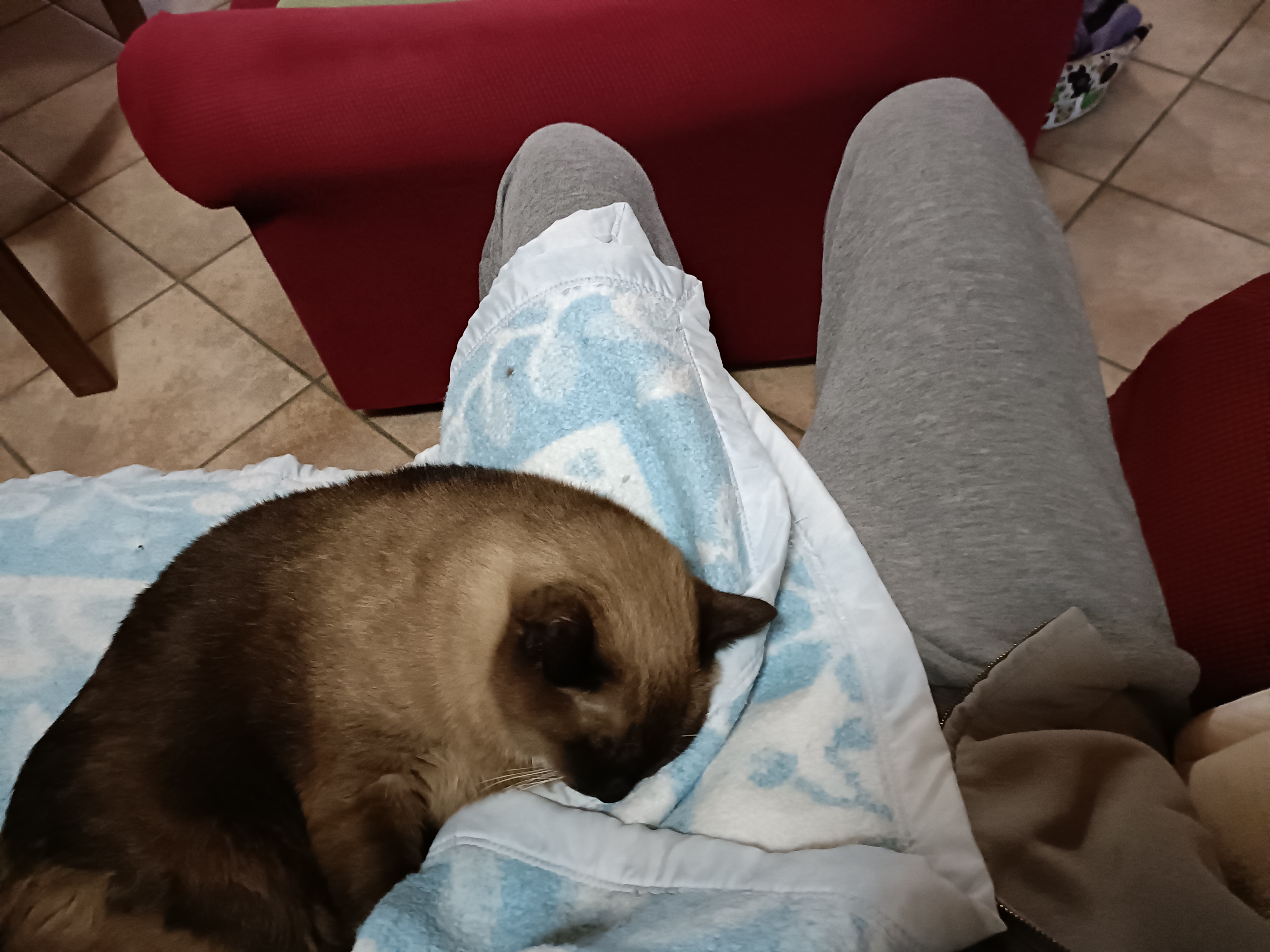 I'm Stuck! Please Send Help ASAP