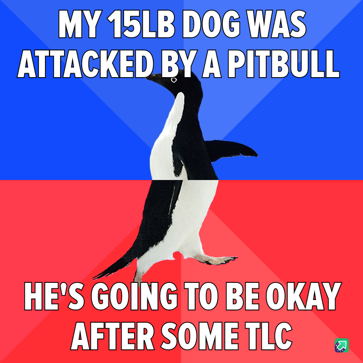 My Dog: A Brave Yet Clueless Hero
