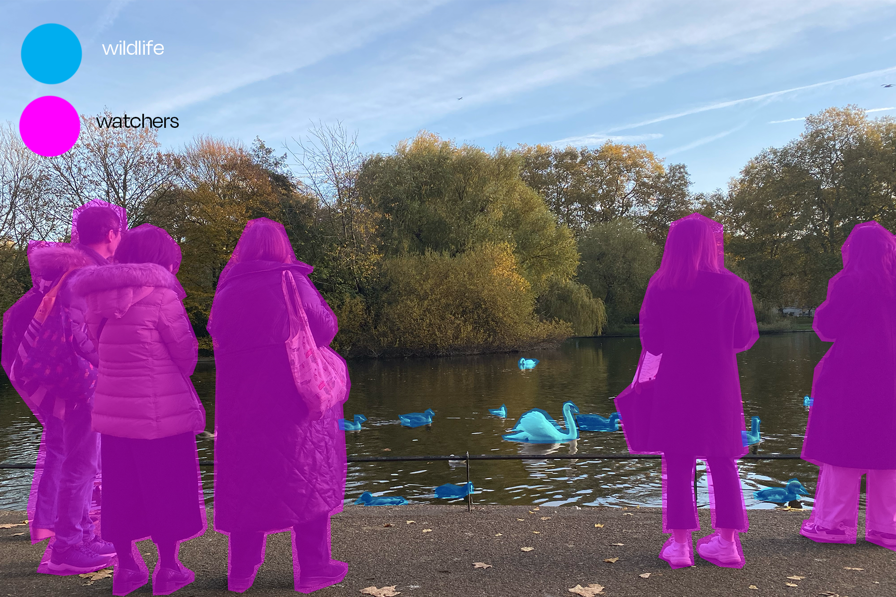 What Activities Do People Enjoy in Parks?