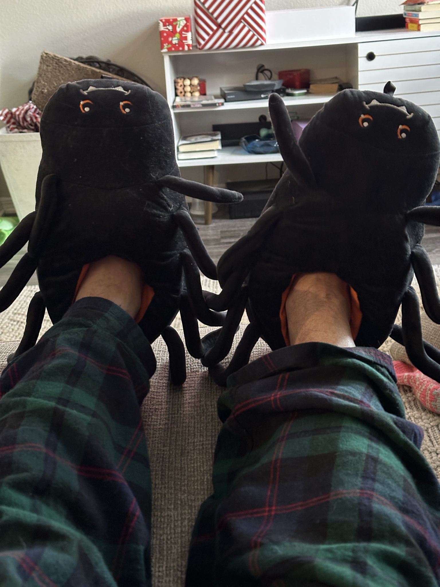 The Best Slippers Ever, Though the Kitties Disagree