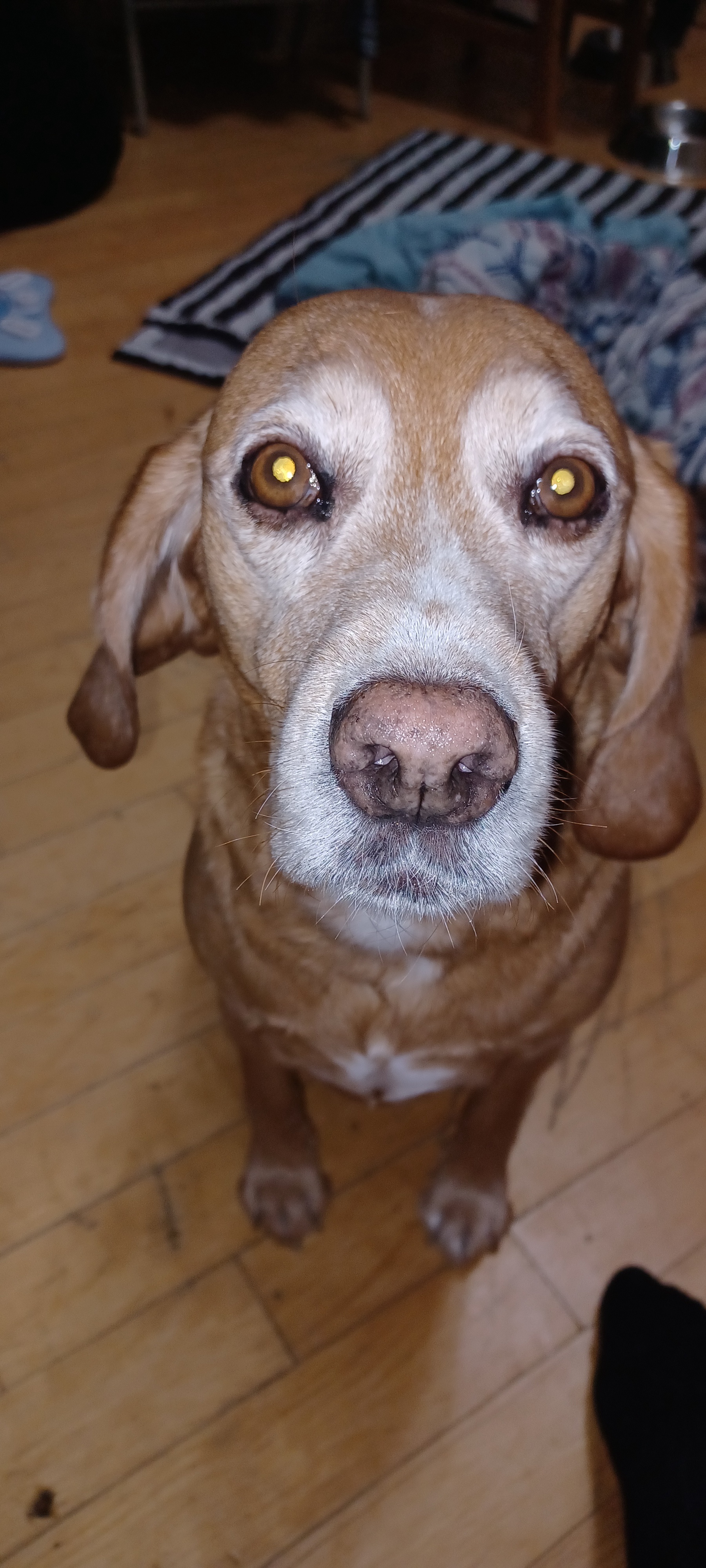 My Awesome Roommate for Another Month