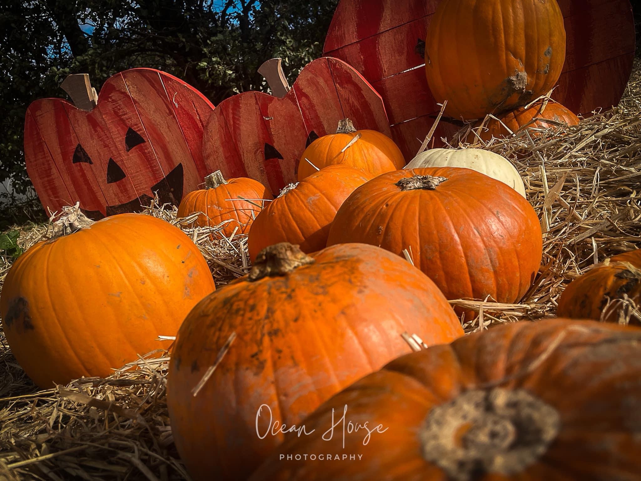 The Great Pumpkin Parade