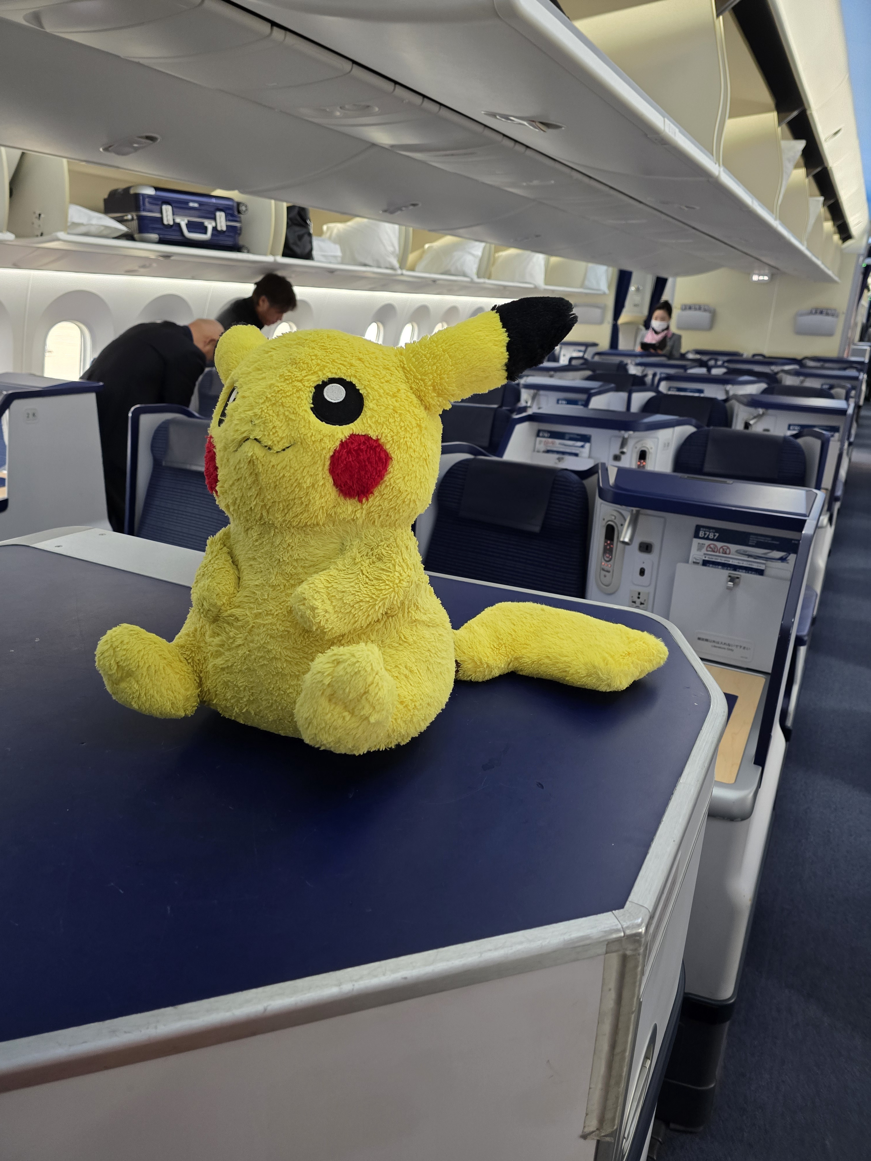 Check Out Who's Claiming My Front Seat!