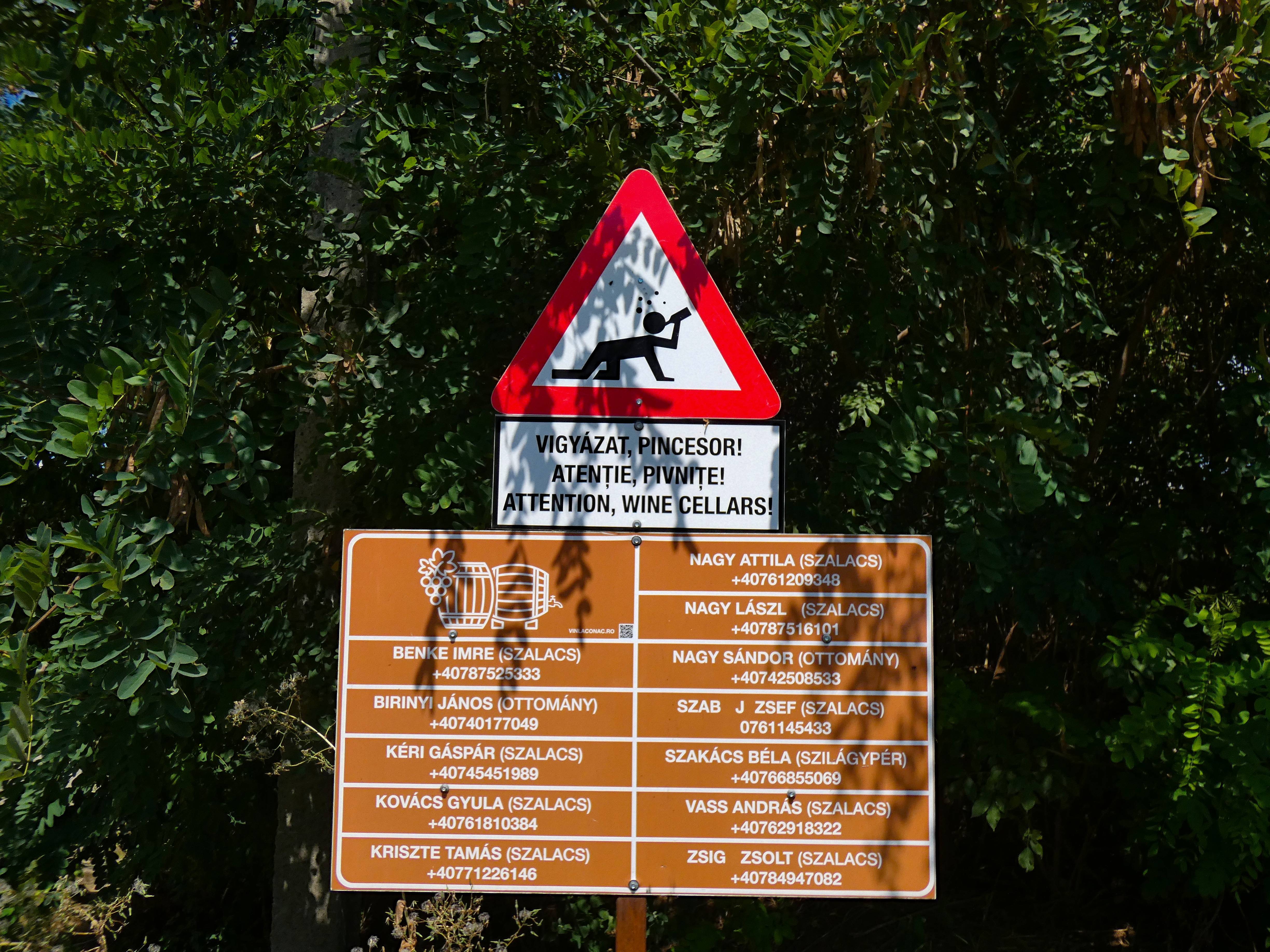 Essential Safety Precautions for Wine Cellars: A Must-Read Warning