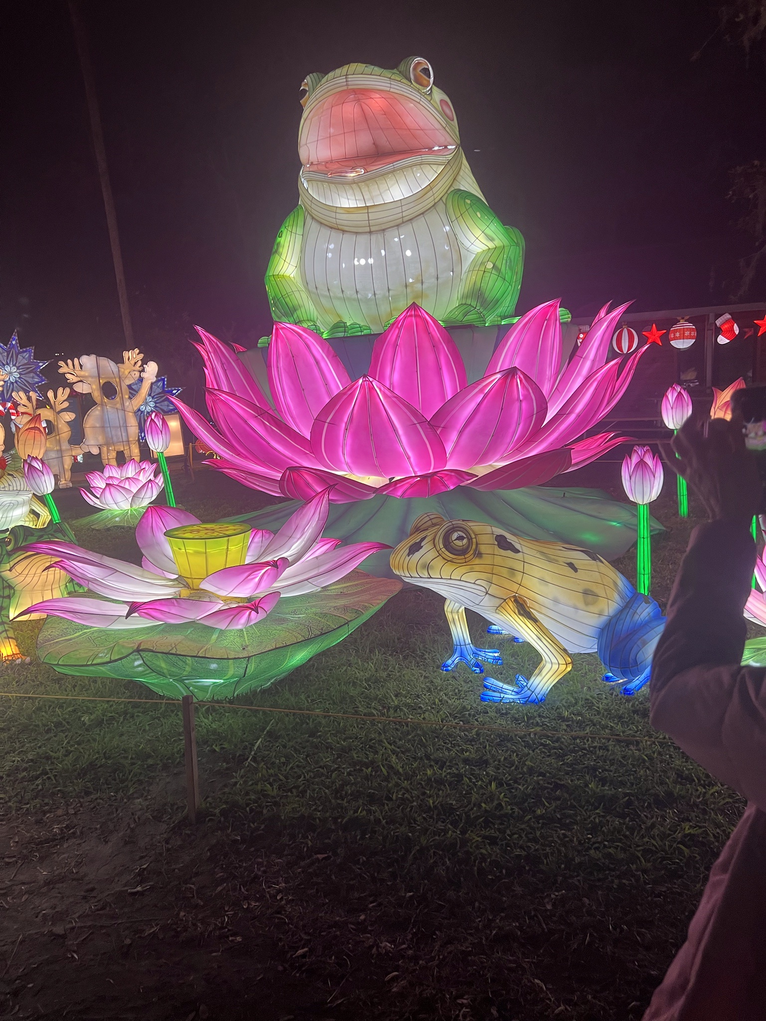 Stunning Asian Lantern Lights at Orlando Zoo