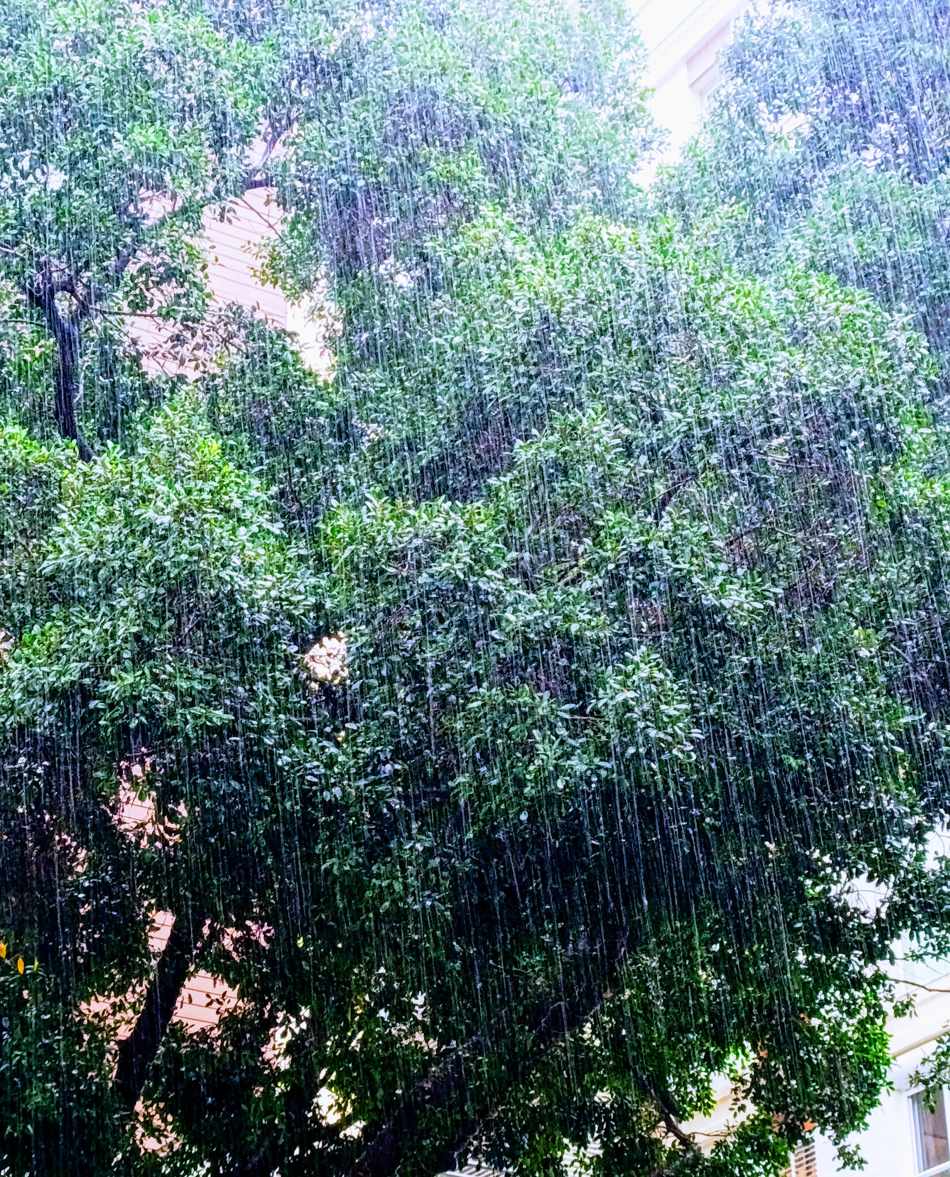 Rainy Day Vibes: Finding Joy in the Drizzle