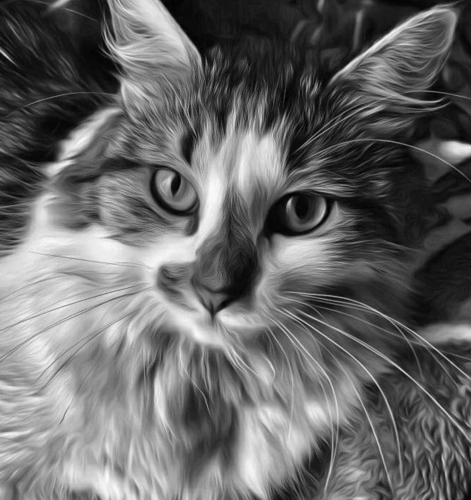 The Cat Chronicles