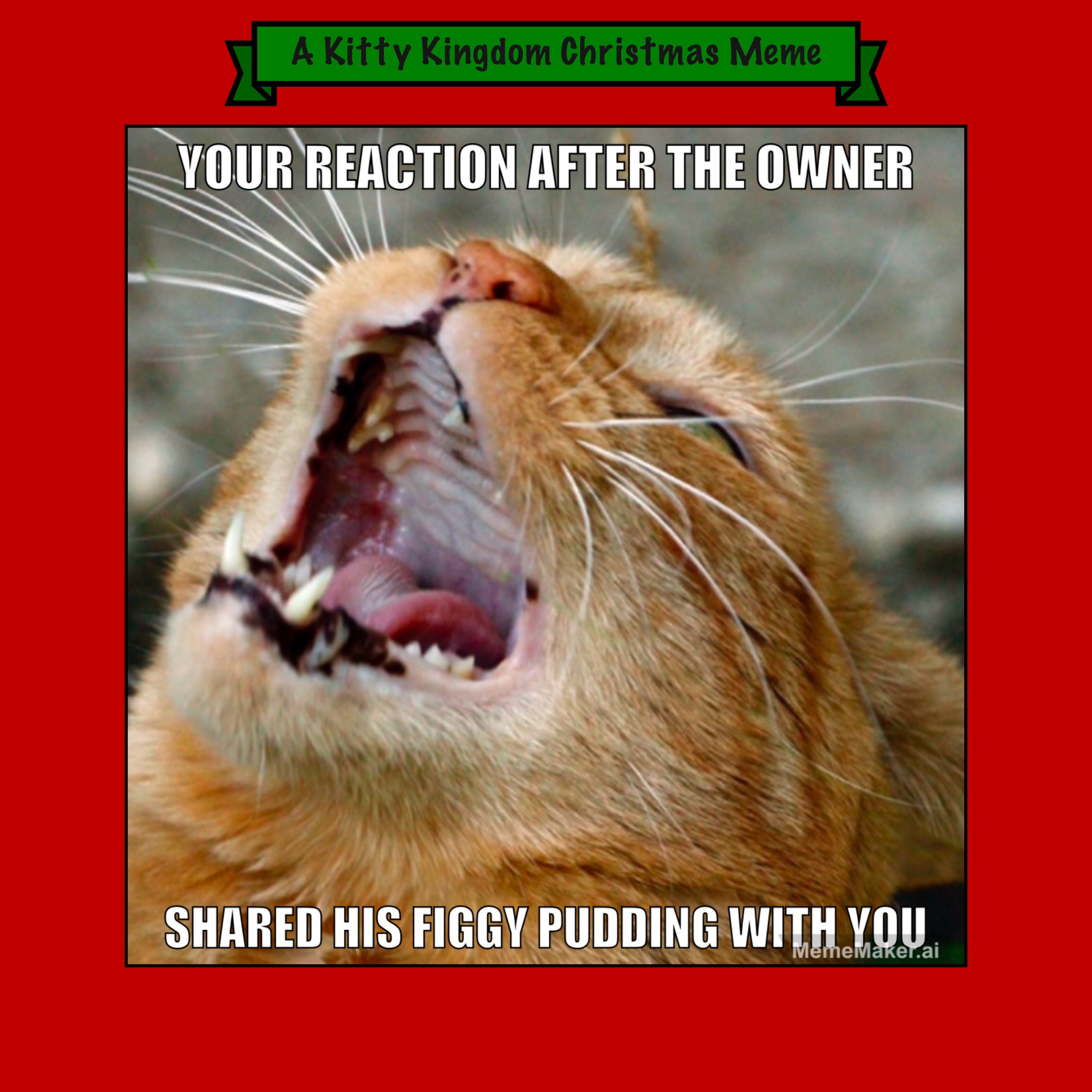 Countdown to Christmas in the Kitty Kingdom: Meme #11