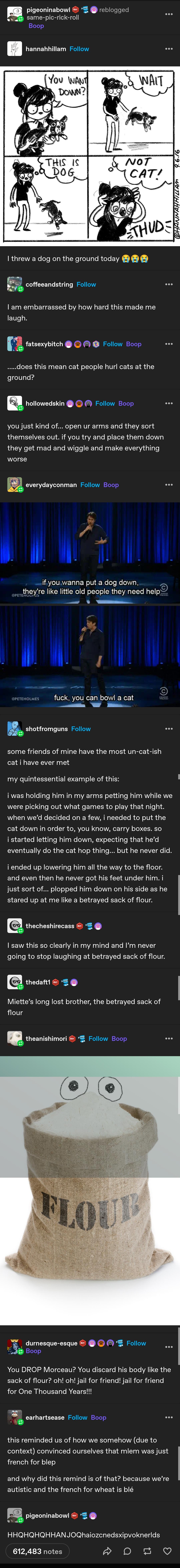 When you let your pets roam free on the ground.
