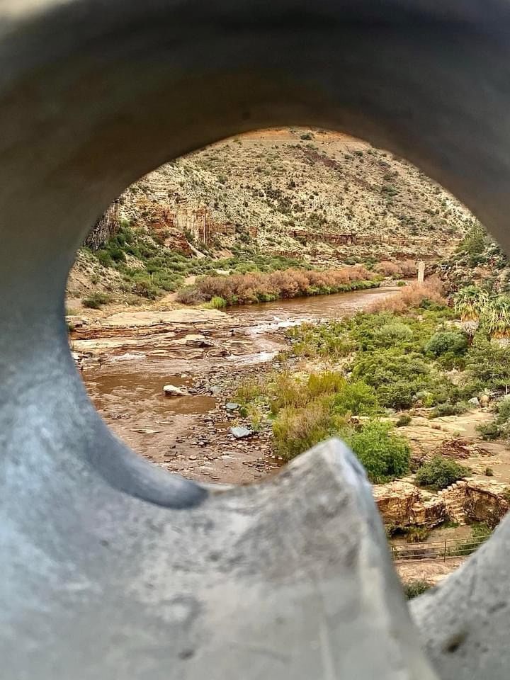 The Serene Charm of a Tranquil Creek