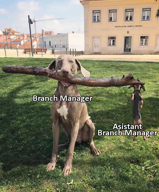 The three types of good boys leading the way in management
